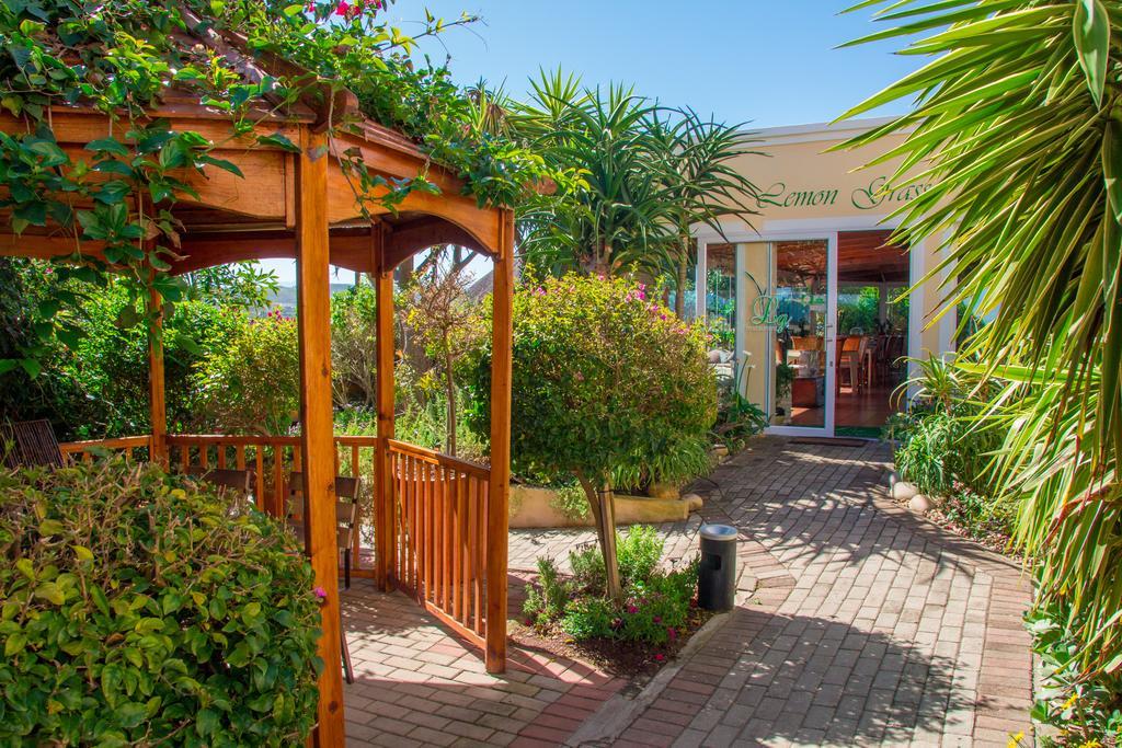 Milkwood Manor On Sea Bed & Breakfast Plettenberg Bay Exterior foto